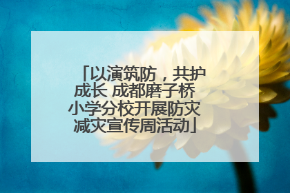 以演筑防，共护成长 成都磨子桥小学分校开展防灾减灾宣传周活动