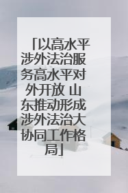 以高水平涉外法治服务高水平对外开放 山东推动形成涉外法治大协同工作格局