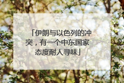 伊朗与以色列的冲突，有一个中东国家态度耐人寻味