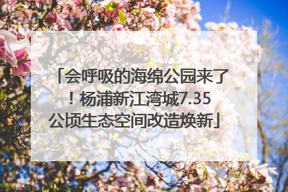 会呼吸的海绵公园来了！杨浦新江湾城7.35公顷生态空间改造焕新