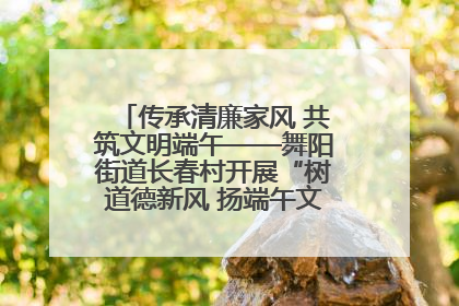 传承清廉家风 共筑文明端午——舞阳街道长春村开展“树道德新风 扬端午文化”主题活动