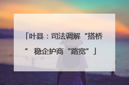 叶县：司法调解“搭桥” 稳企护商“路宽”