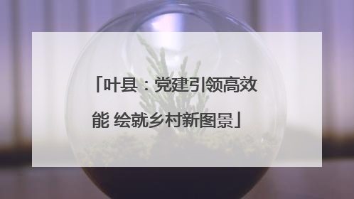 叶县：党建引领高效能 绘就乡村新图景