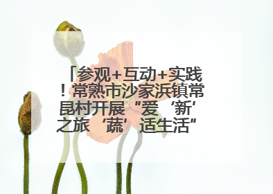 参观+互动+实践！常熟市沙家浜镇常昆村开展“爱‘新’之旅‘蔬’适生活”参观学习活动