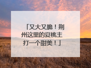 又大又脆！荆州这里的夏桃主打一个甜美！