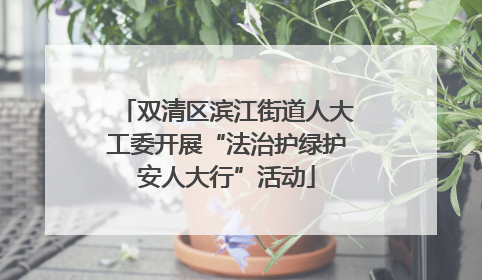 双清区滨江街道人大工委开展“法治护绿护安人大行”活动