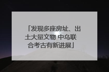 发现多座房址、出土大量文物 中乌联合考古有新进展