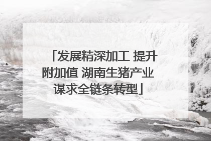 发展精深加工 提升附加值 湖南生猪产业谋求全链条转型