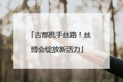 古都携手丝路！丝博会绽放新活力