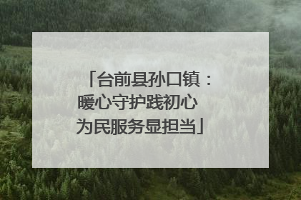 台前县孙口镇：暖心守护践初心 为民服务显担当