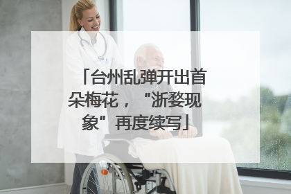 台州乱弹开出首朵梅花，“浙婺现象”再度续写