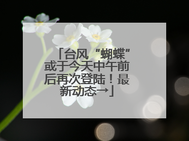 台风“蝴蝶”或于今天中午前后再次登陆！最新动态→