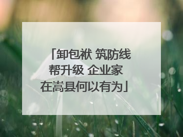 卸包袱 筑防线 帮升级 企业家在嵩县何以有为