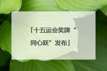 十五运会奖牌“同心跃”发布