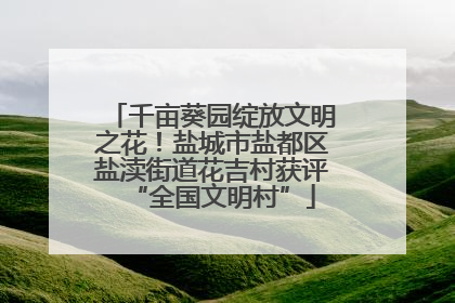 千亩葵园绽放文明之花！盐城市盐都区盐渎街道花吉村获评“全国文明村”