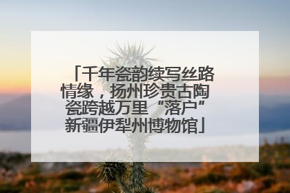 千年瓷韵续写丝路情缘，扬州珍贵古陶瓷跨越万里“落户”新疆伊犁州博物馆