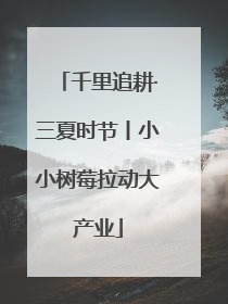 千里追耕·三夏时节丨小小树莓拉动大产业