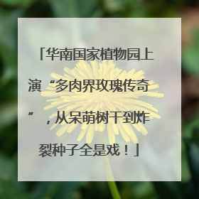 华南国家植物园上演“多肉界玫瑰传奇”，从呆萌树干到炸裂种子全是戏！