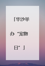 华沙举办“宠物日”
