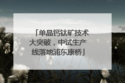 单晶钙钛矿技术大突破，中试生产线落地浦东康桥