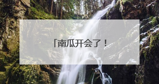 南瓜开会了！平谷有个可可爱爱的南瓜王国