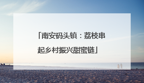 南安码头镇：荔枝串起乡村振兴甜蜜链
