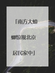 南方大蟑螂惊现北京居民家中