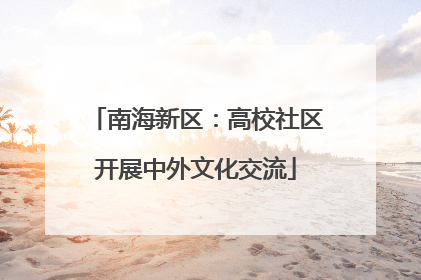 南海新区：高校社区开展中外文化交流