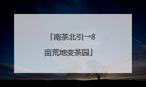 南茶北引→8亩荒地变茶园
