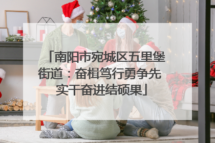 南阳市宛城区五里堡街道：奋楫笃行勇争先 实干奋进结硕果