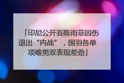印尼公开赛陈雨菲因伤退出“内战”，国羽各单项唯男双表现差劲