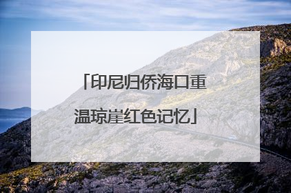 印尼归侨海口重温琼崖红色记忆