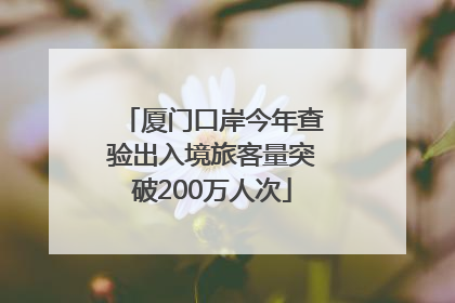 厦门口岸今年查验出入境旅客量突破200万人次