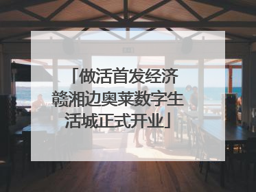 做活首发经济 赣湘边奥莱数字生活城正式开业
