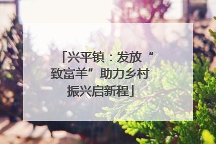 兴平镇：发放“致富羊”助力乡村振兴启新程