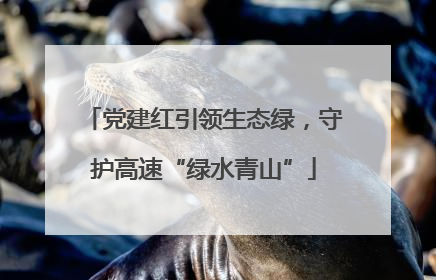 党建红引领生态绿，守护高速“绿水青山”