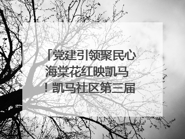 党建引领聚民心 海棠花红映凯马！凯马社区第三届邻里生活节谱写幸福新篇章
