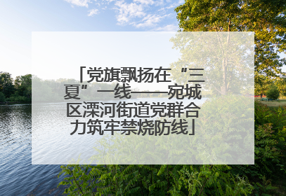 党旗飘扬在“三夏”一线——宛城区溧河街道党群合力筑牢禁烧防线