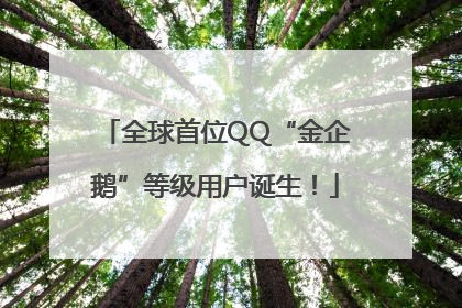 全球首位QQ“金企鹅”等级用户诞生！
