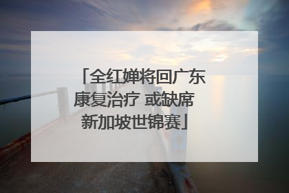 全红婵将回广东康复治疗 或缺席新加坡世锦赛