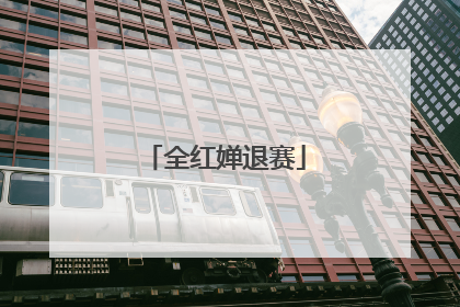 全红婵退赛