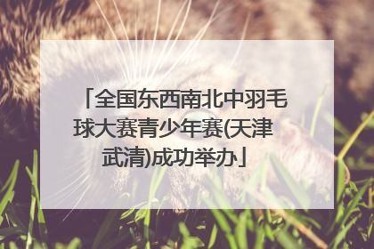 全国东西南北中羽毛球大赛青少年赛(天津武清)成功举办