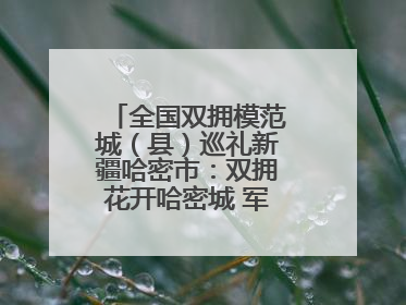 全国双拥模范城（县）巡礼新疆哈密市：双拥花开哈密城 军民同心谱新篇