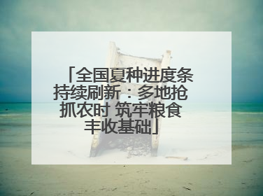 全国夏种进度条持续刷新：多地抢抓农时 筑牢粮食丰收基础