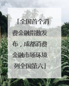 全国首个消费金融指数发布，成都消费金融市场环境列全国第六