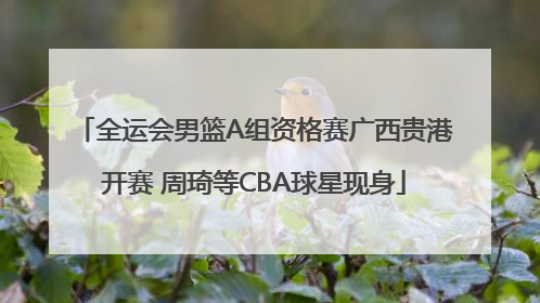 全运会男篮A组资格赛广西贵港开赛 周琦等CBA球星现身