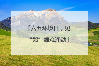 六五环境日，见“郑”绿意涌动