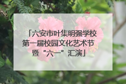 六安市叶集明强学校第一届校园文化艺术节暨“六一”汇演