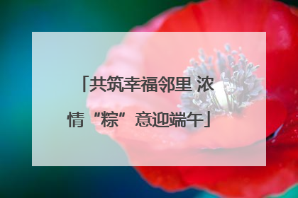 共筑幸福邻里 浓情“粽”意迎端午