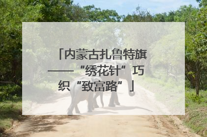 内蒙古扎鲁特旗——“绣花针”巧织“致富路”